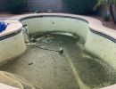 Swimming Pool Repair and Cleaning Services